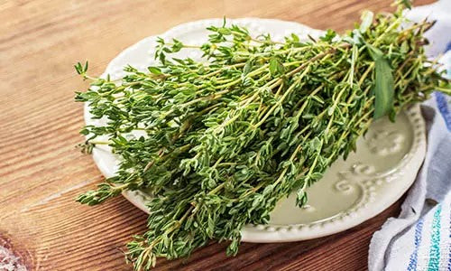 Health Benefits of Thyme