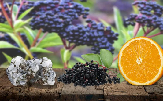 Elderberry Extract for Health and Support