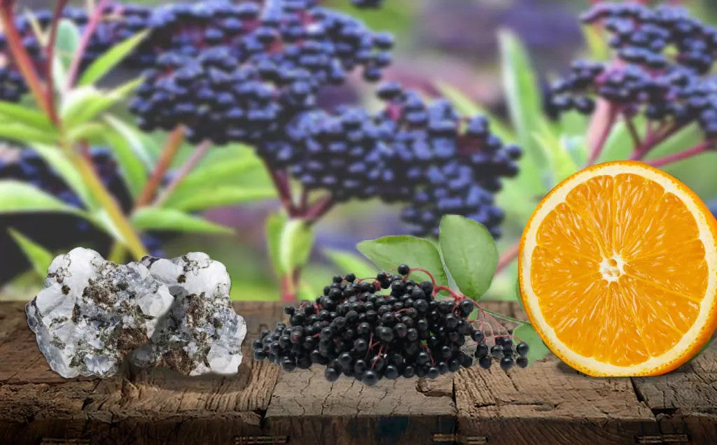Power Your Immune System with Elderberry, Zinc and Vitamin C