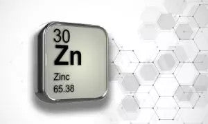 Zinc and Why it is Important for Health